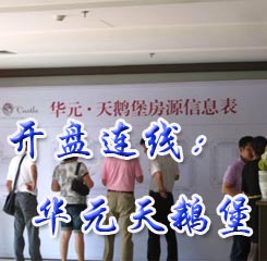 華元天鵝堡開盤連線