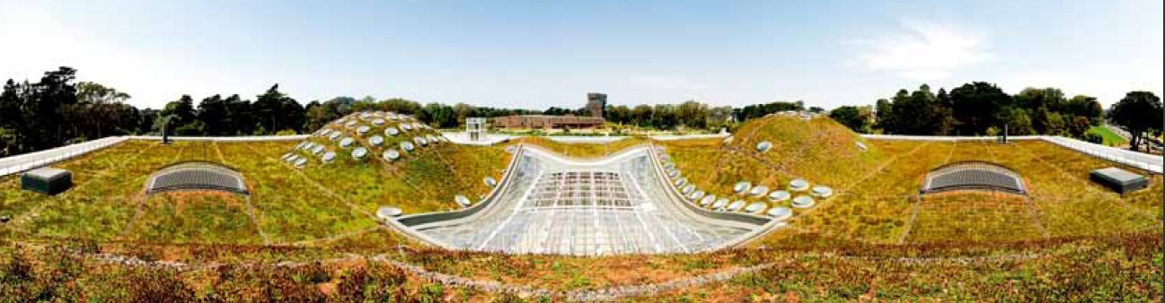 加州科學院
