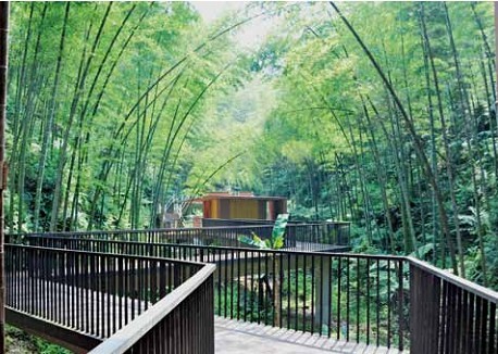 藏竹？醒竹！——貴州赤水竹海國家森林公園入口景觀建筑體